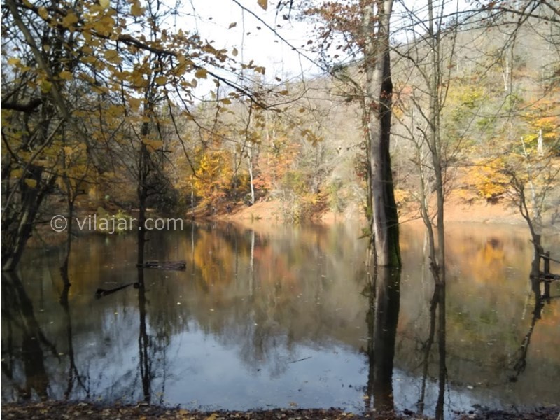 عکس شماره 7 - مرداب هسل در چالوس