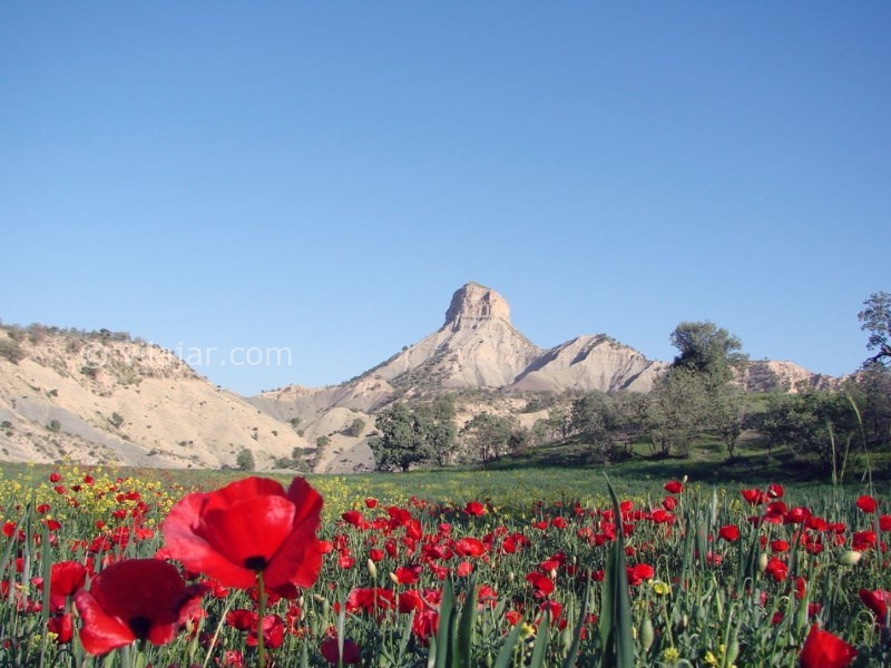 عکس شماره 6 - کوه قلا قیران
