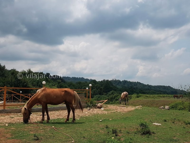 عکس شماره 7 - سد زمزم یا سد برنجستانک