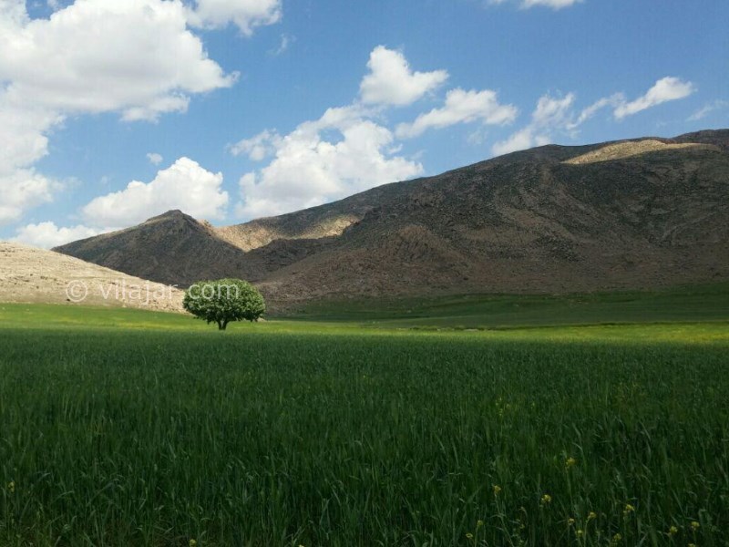عکس شماره 3 - سفر به شمال خوزستان