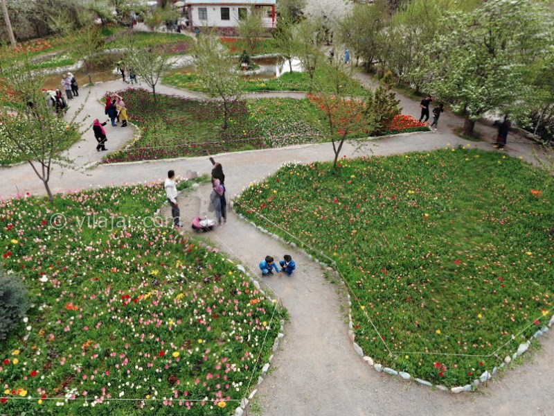 عکس اصلی شماره 10 - باغ لاله گچسر جاده چالوس