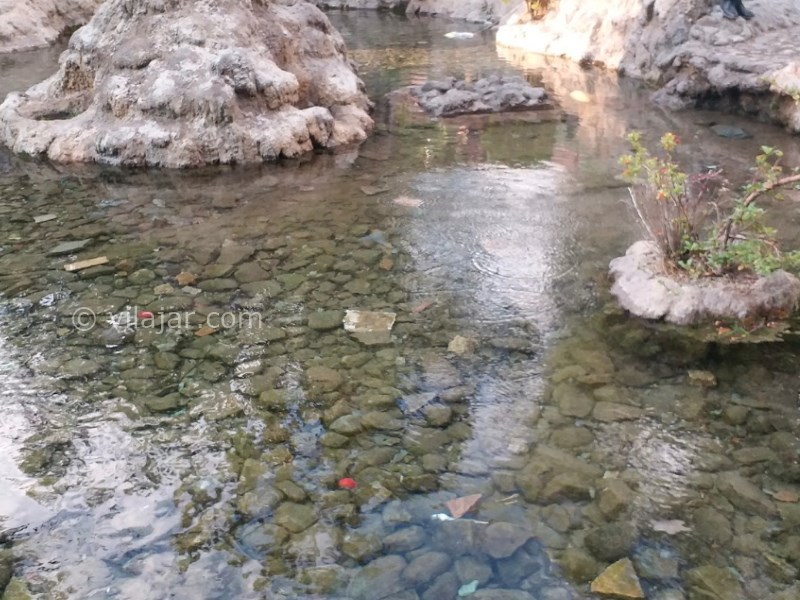 عکس شماره 7 - چشمه اعلاء دماوند