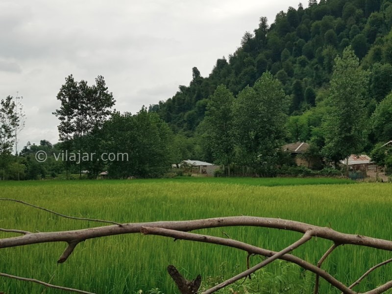 عکس شماره 8 - گردشگری در شاندرمن ماسال