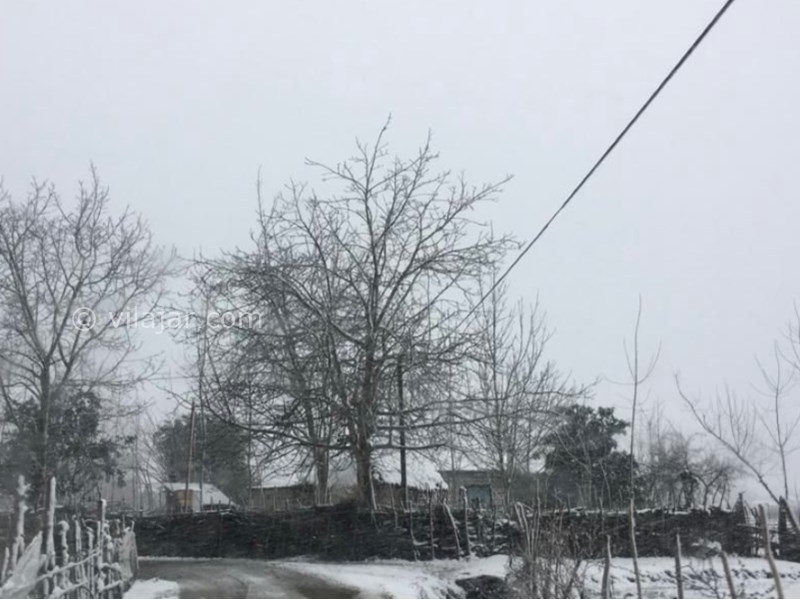 عکس شماره 9 - گردشگری در شاندرمن ماسال