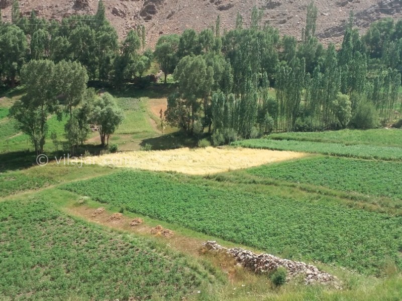 عکس شماره 7 - روستای ییلاقی نشل