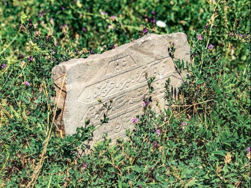 عکس شماره 8 - روستای ییلاقی نشل