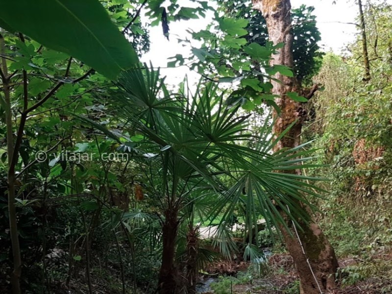 عکس شماره 7 - چشمه دمکش کجاست؟