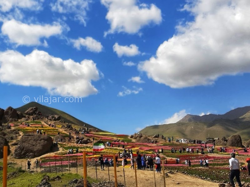 عکس شماره 9 - دشت لاله کندر