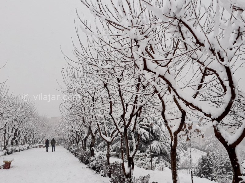 عکس شماره 5 - پارک پلیس