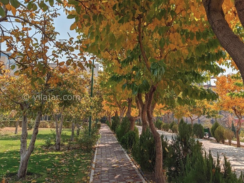 عکس شماره 9 - پارک پلیس