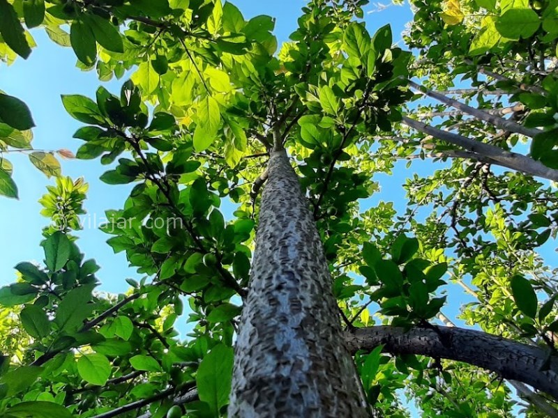 عکس شماره 4 - روستای خور هشتگرد
