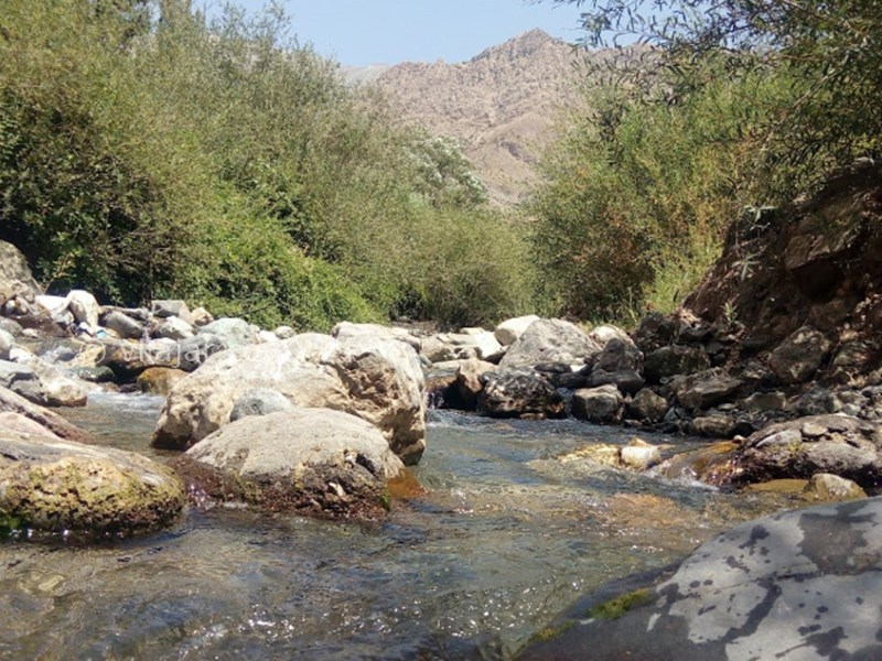 عکس شماره 10 - روستا و آبشار سپهسالار