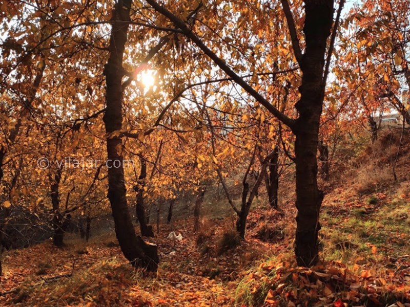 عکس شماره 7 - روستای کند علیا لواسان