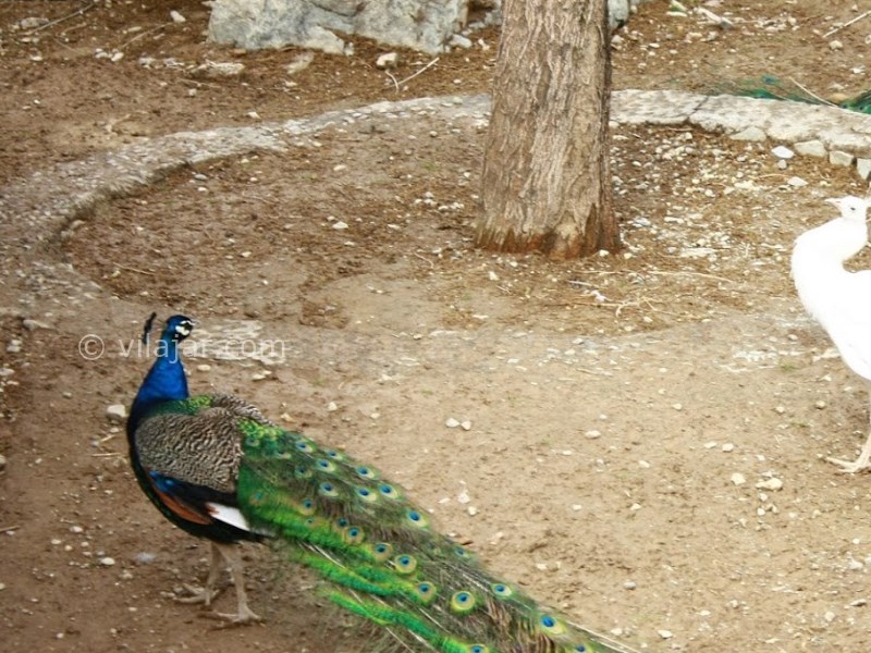 عکس شماره 13 - پارک ملت تهران