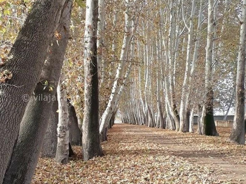عکس شماره 3 - روستای تاریخی ایقربلاغ