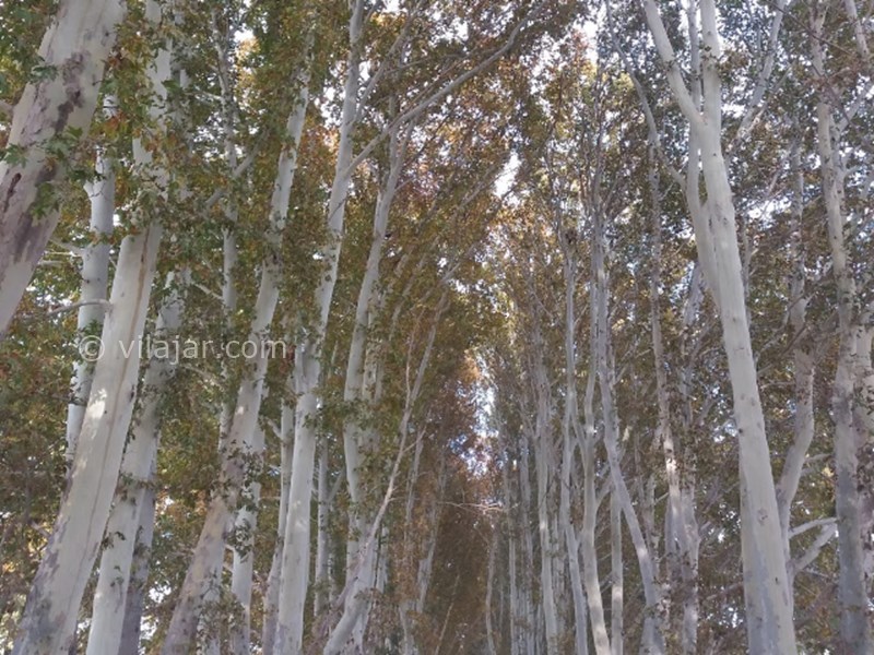 عکس شماره 6 - روستای تاریخی ایقربلاغ