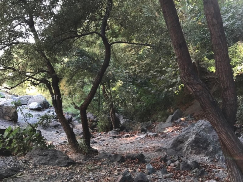 عکس شماره 3 - گلابدره کجاست؟