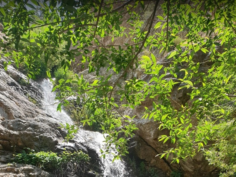 عکس شماره 5 - گلابدره کجاست؟