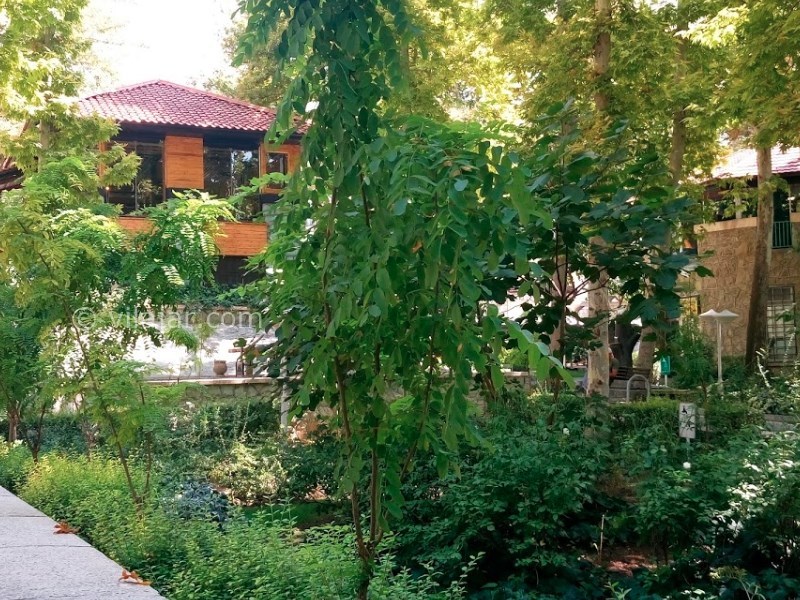 عکس شماره 7 - پارک شطرنج تهران