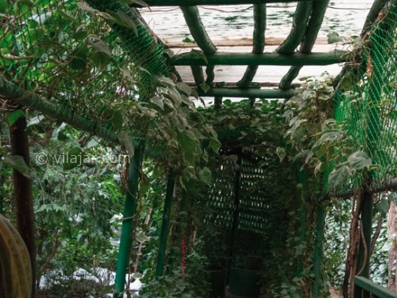 عکس شماره 7 - موزه دکتر حسابی