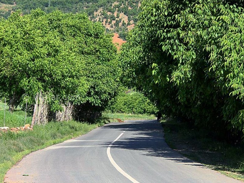عکس شماره 6 - روستای نجنه علیا