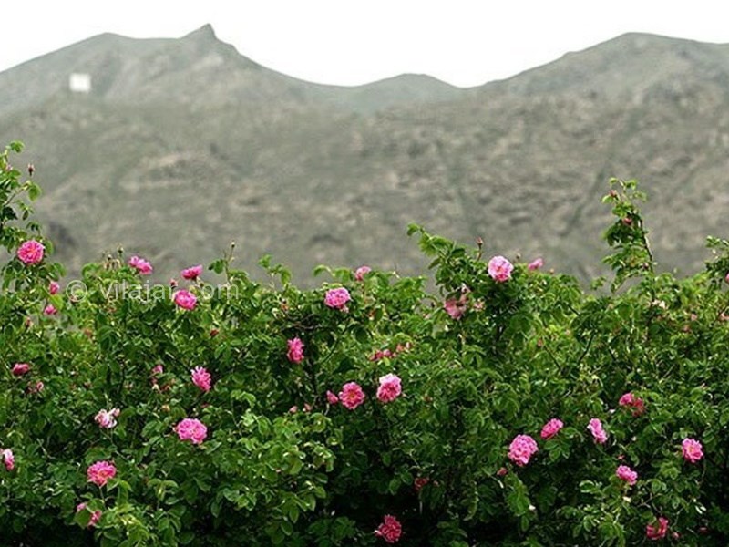 عکس شماره 12 - قمصر کاشان