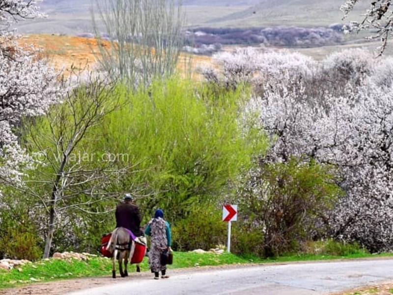 عکس اصلی شماره 2 - روستای زنوزق