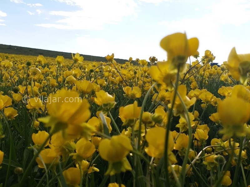 عکس شماره 4 - روستای زنوزق