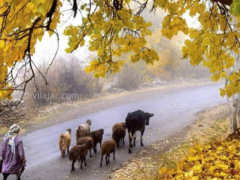 عکس شماره 7 - روستای زنوزق