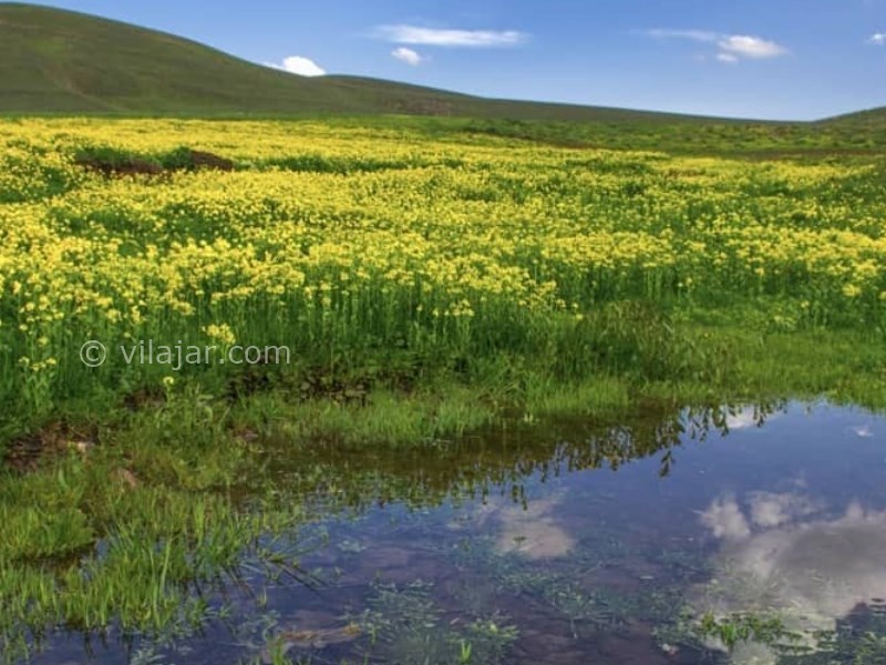 عکس شماره 9 - روستای زنوزق