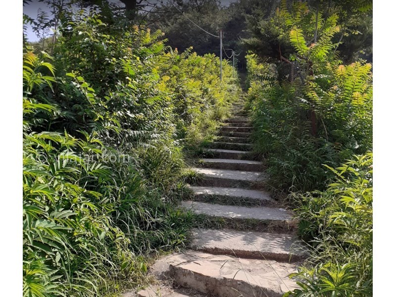 عکس شماره 9 - قلعه تاریخی مارکوه رامسر