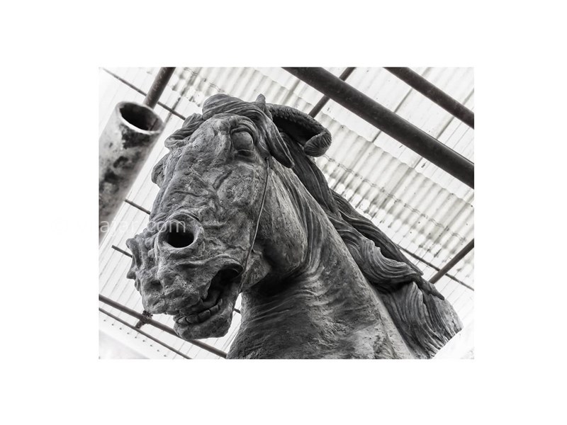 عکس شماره 26 - مجسمه‌ کوروش در کلاردشت