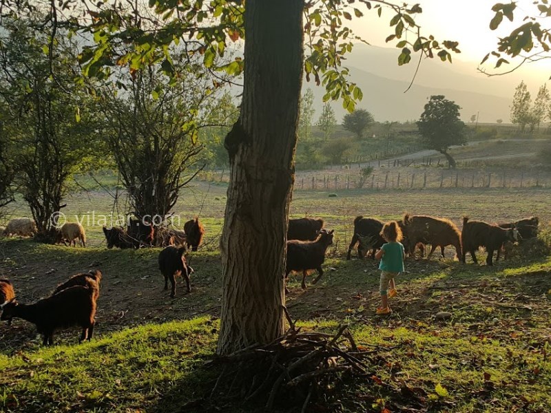 عکس شماره 5 - روستای نوکنده ساری