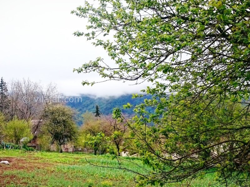 عکس شماره 6 - روستای نوکنده ساری