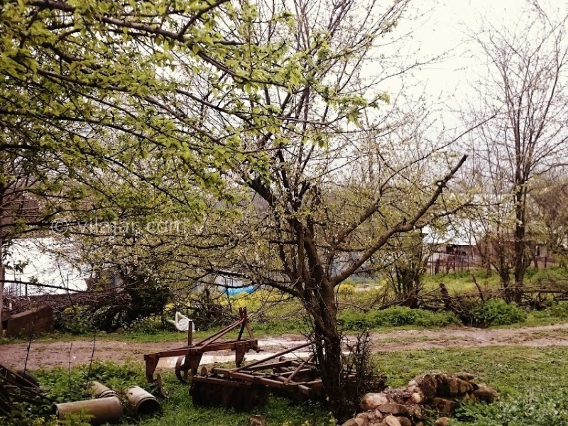 عکس شماره 8 - روستای نوکنده ساری