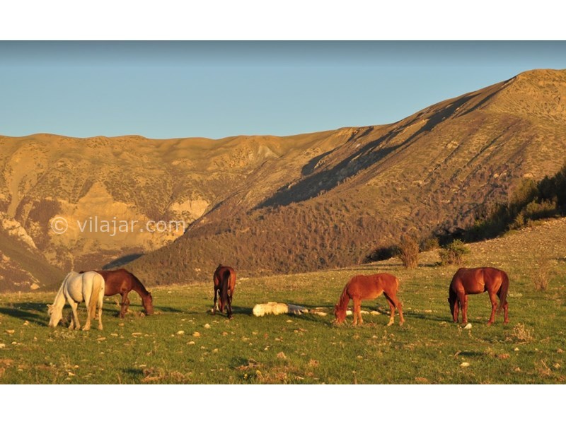 عکس شماره 13 - منطقه ییلاقی زیارت گرگان