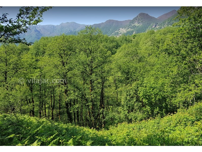 عکس شماره 13 - آبشار لاتون در گیلان