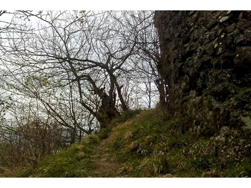 عکس شماره 9 - قلعه بندبن کجاست؟