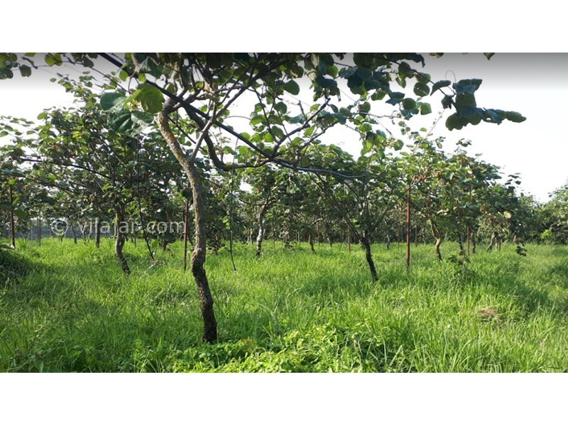 عکس شماره 5 - روستای قاسم آباد