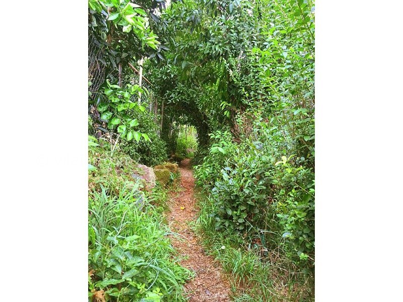 عکس شماره 12 - روستای قاسم آباد