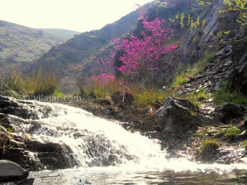 عکس شماره 4 - دره ارغوان طرقبه