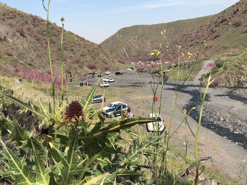 عکس شماره 5 - دره ارغوان طرقبه