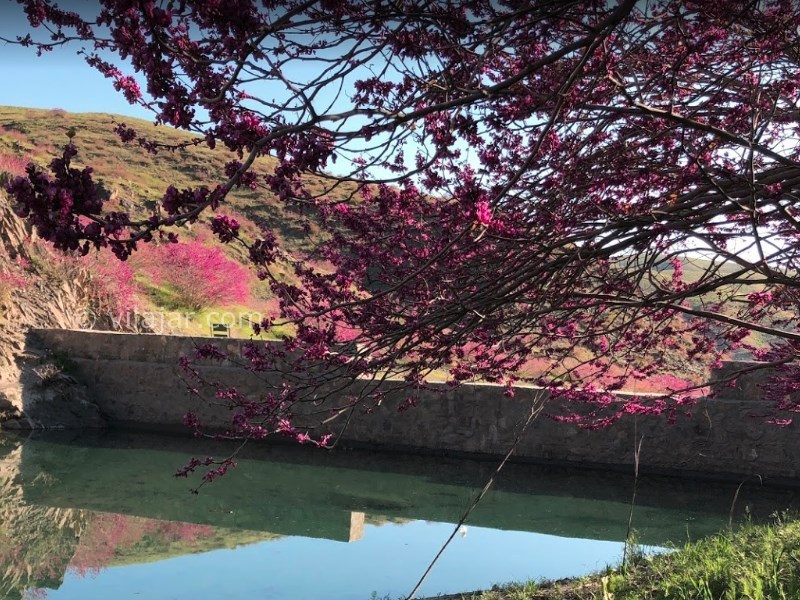 عکس شماره 6 - دره ارغوان طرقبه