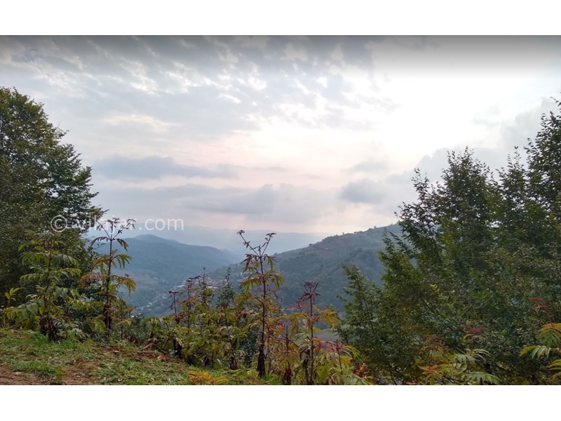 عکس شماره 4 - دریاچه میانشه یا چورت