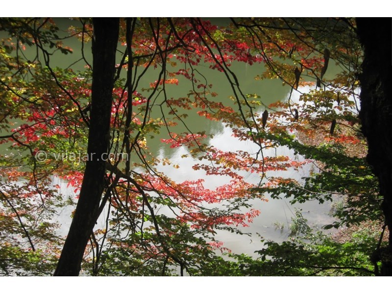 عکس شماره 6 - دریاچه میانشه یا چورت