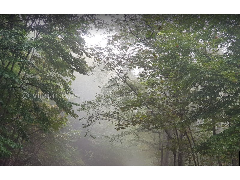 عکس شماره 9 - دریاچه میانشه یا چورت