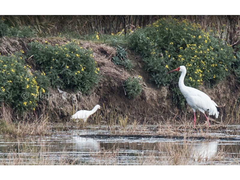 عکس شماره 20 - جاذبه‌های گردشگری فریدونکنار
