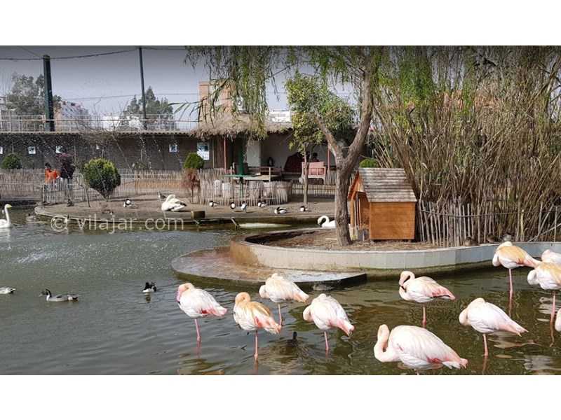 عکس شماره 21 - جاذبه‌های گردشگری فریدونکنار