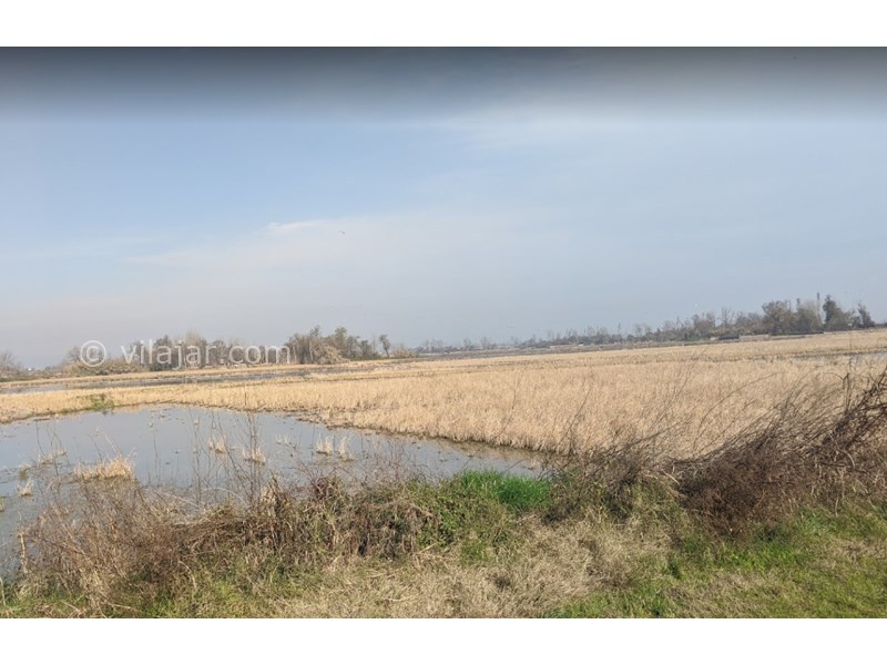 عکس شماره 23 - جاذبه‌های گردشگری فریدونکنار