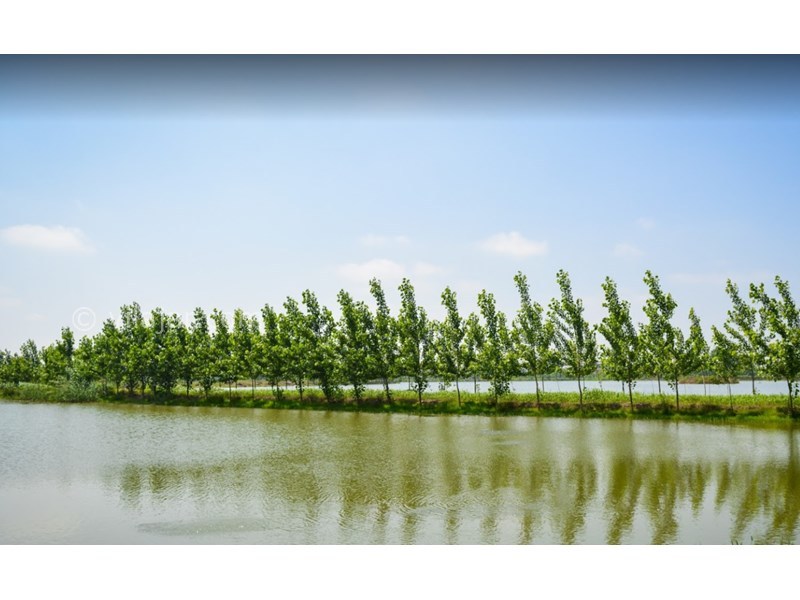 عکس شماره 24 - جاذبه‌های گردشگری فریدونکنار